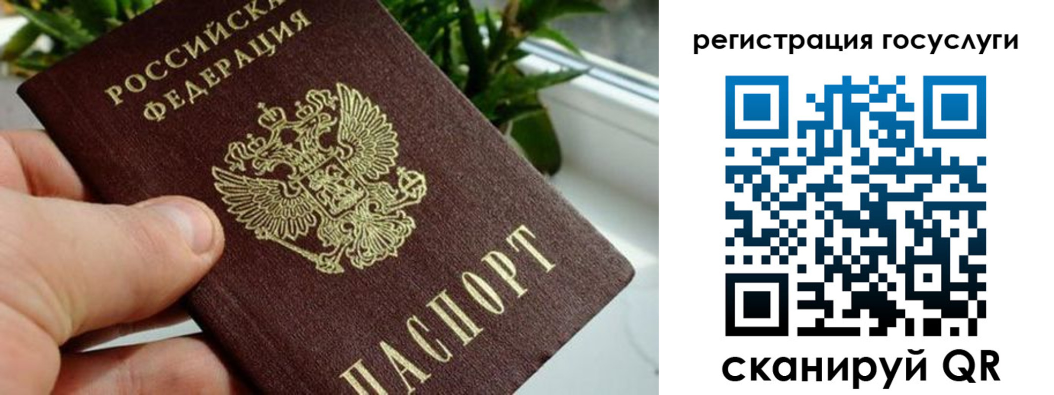 прописка для кредита в Светогорске